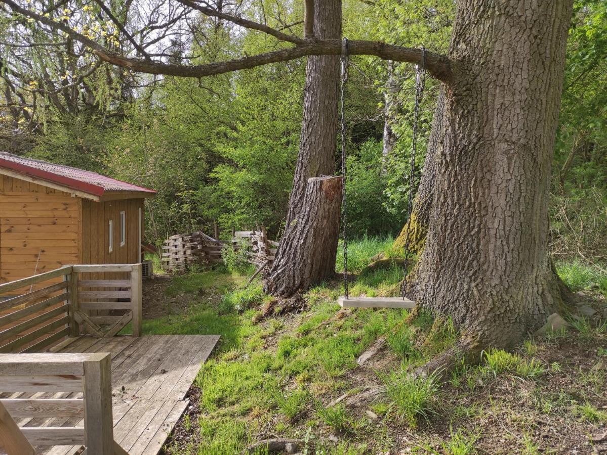 Mobilni Dum Villa Dolní Dvořiště Exterior foto